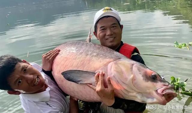 北京釣魚網app下載_北京釣魚吧貼吧_北京釣魚論壇