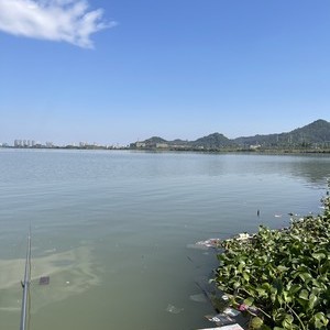 全國釣魚天氣氣壓查詢_釣魚天氣氣壓表軟件下載_涪江釣魚天氣_涪江氣壓預報_涪江天氣預報