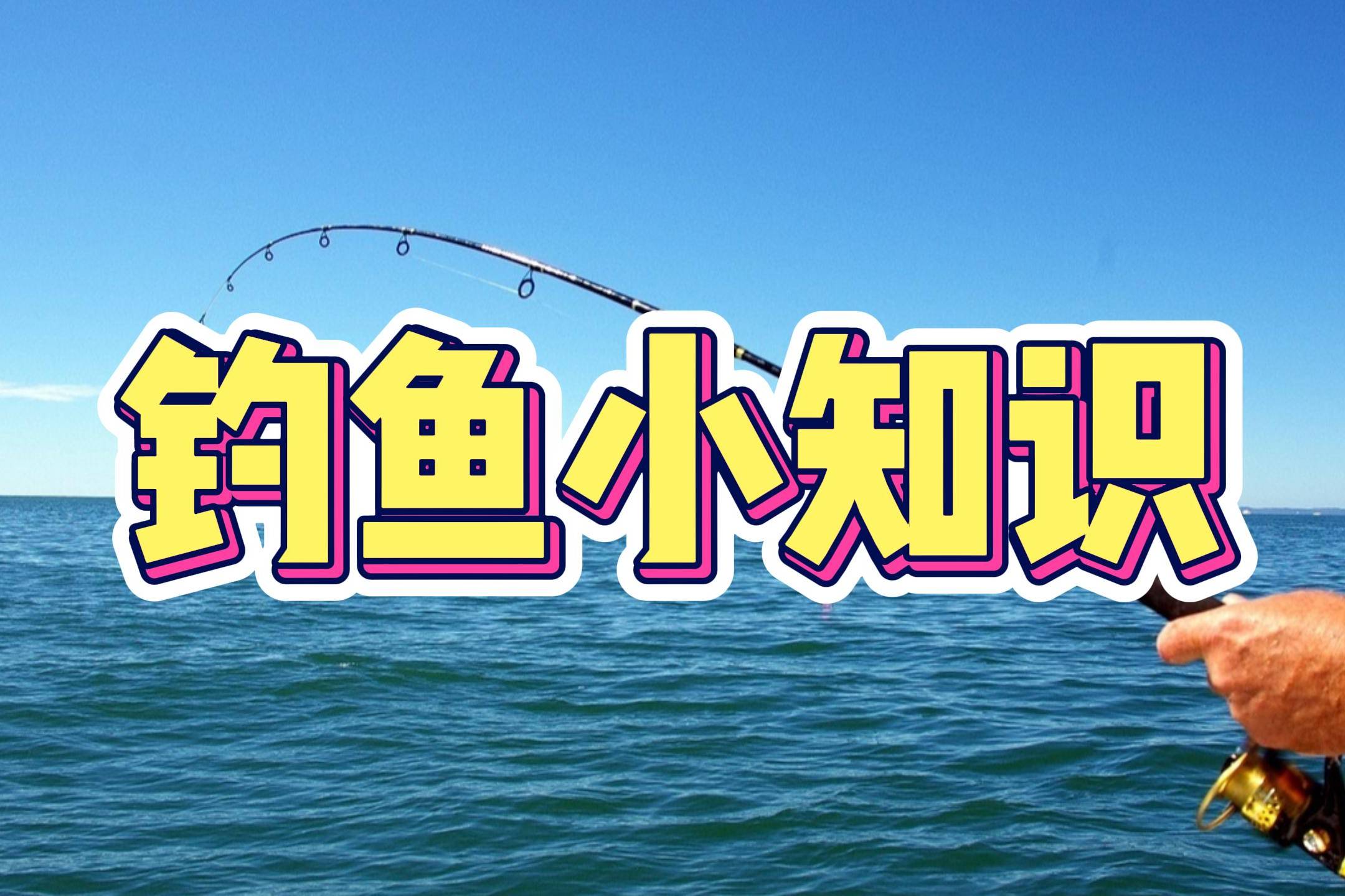 初夏釣魚技巧_初夏釣魚技巧大全_釣魚初夏技巧圖解