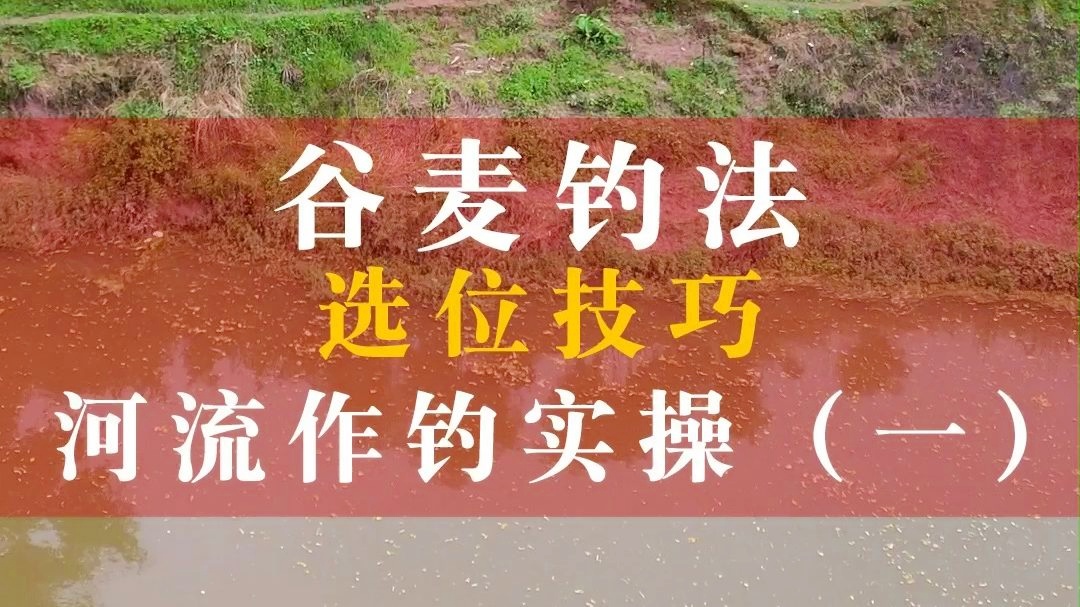 初夏釣魚技巧大全_釣魚初夏技巧圖解_初夏釣魚技巧