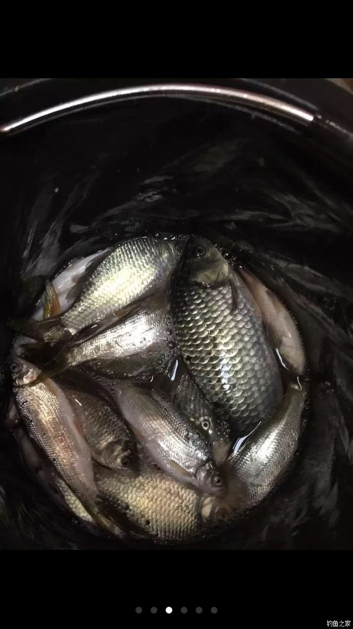 釣魚視頻大全老鬼魚_老鬼釣魚視頻大全_老鬼釣魚視頻游釣世界