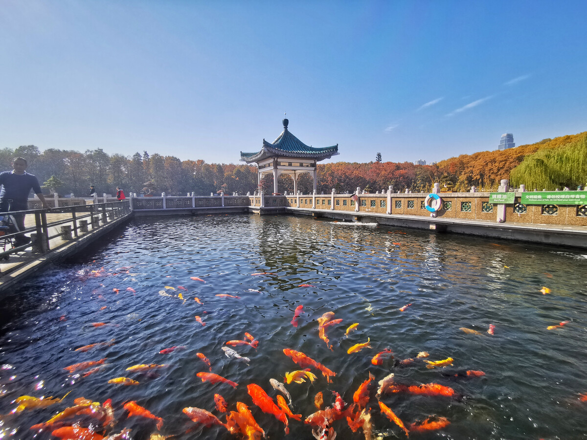 釣魚漲水怎么釣_釣魚漲水釣近點還是釣遠點_漲水好釣魚嗎