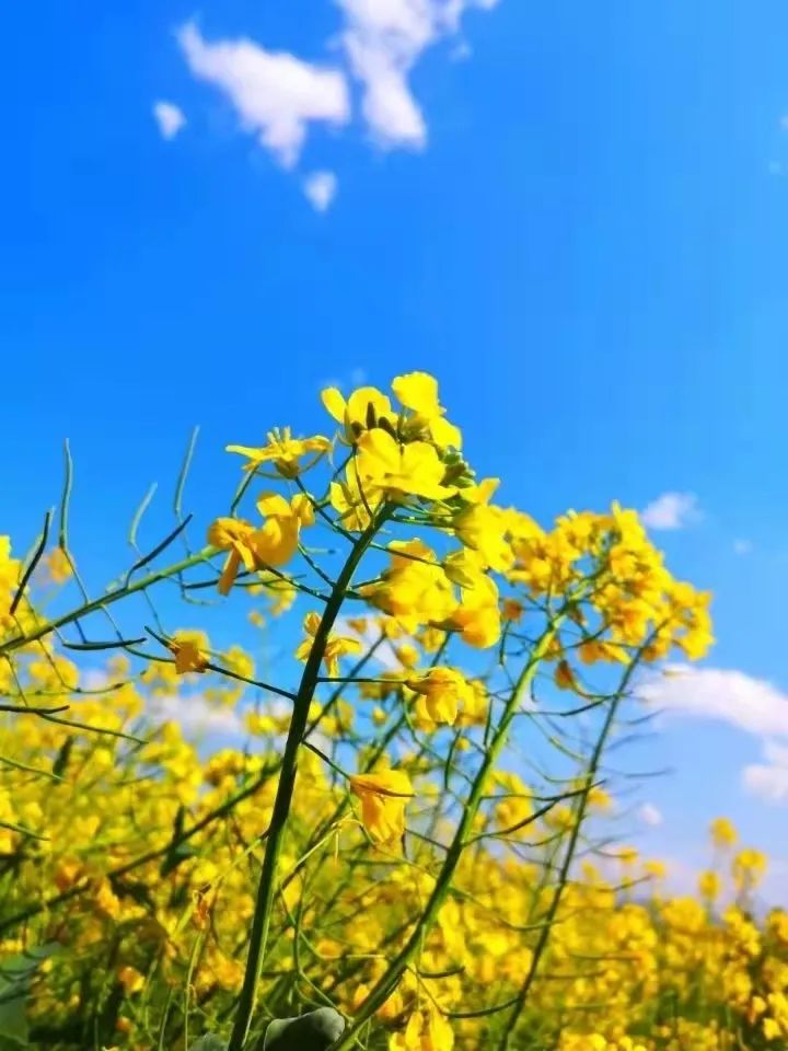春夏秋冬家紡_我家的春夏秋冬_春夏秋冬的家