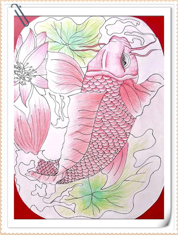 鯉錦魚怎么養_錦鯉魚圖片_鯉魚錦鯉圖片