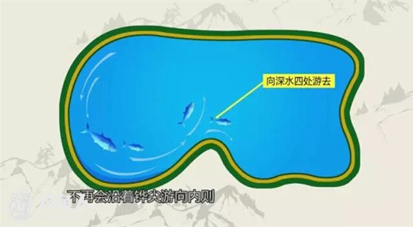 夏季野釣全攻略_夏季野釣的技巧及注意事項_夏季野釣魚的技巧和方法