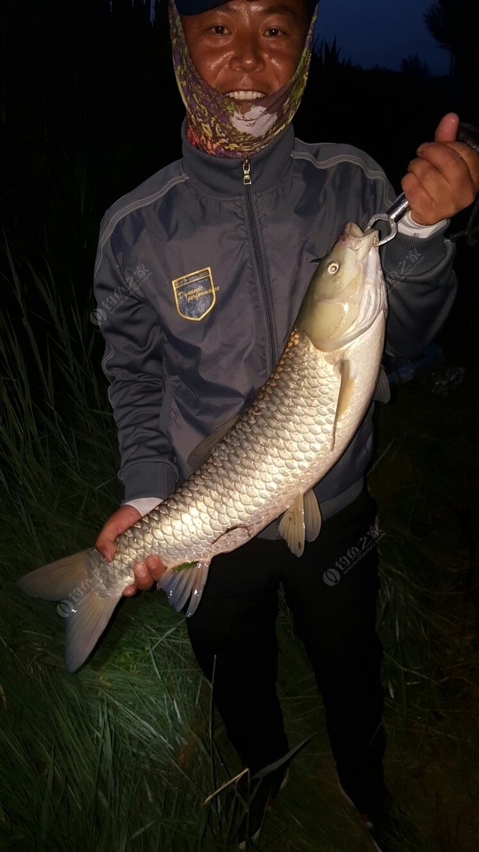 釣草魚打窩用老玉米還是嫩玉米_釣草魚用什么打窩_釣草魚打窩用什么效果最好