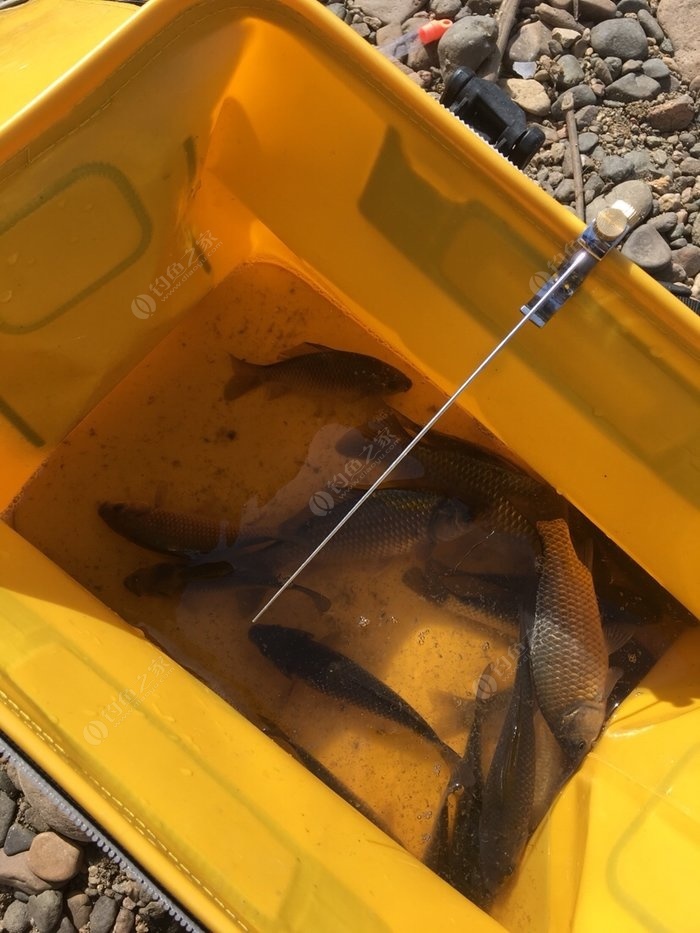 釣魚西南風應該坐哪里_西南風釣魚_釣魚西南風不好釣的原因