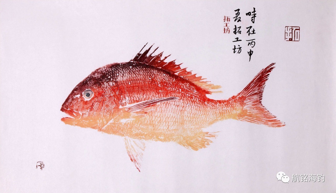 海釣青島_青島海釣魚類_青島海釣魚視頻大全