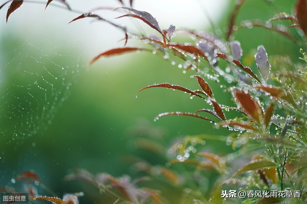 雨天水庫釣魚技巧_水庫雨天釣什么位置_釣魚水庫雨天技巧視頻