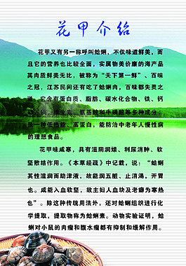 花甲和花蛤的區別_花甲和花蛤的區別_花甲和花蛤的區別