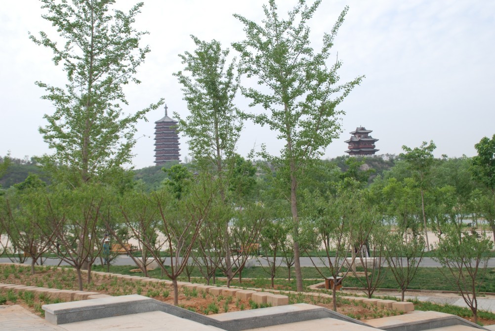 永定河森林公園帳篷_永定河森林公園能搭帳篷嗎_永定河森林公園