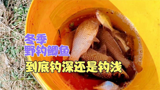 冬季釣鯽魚技巧_釣冬季鯽魚技巧和方法_釣冬季鯽魚技巧視頻