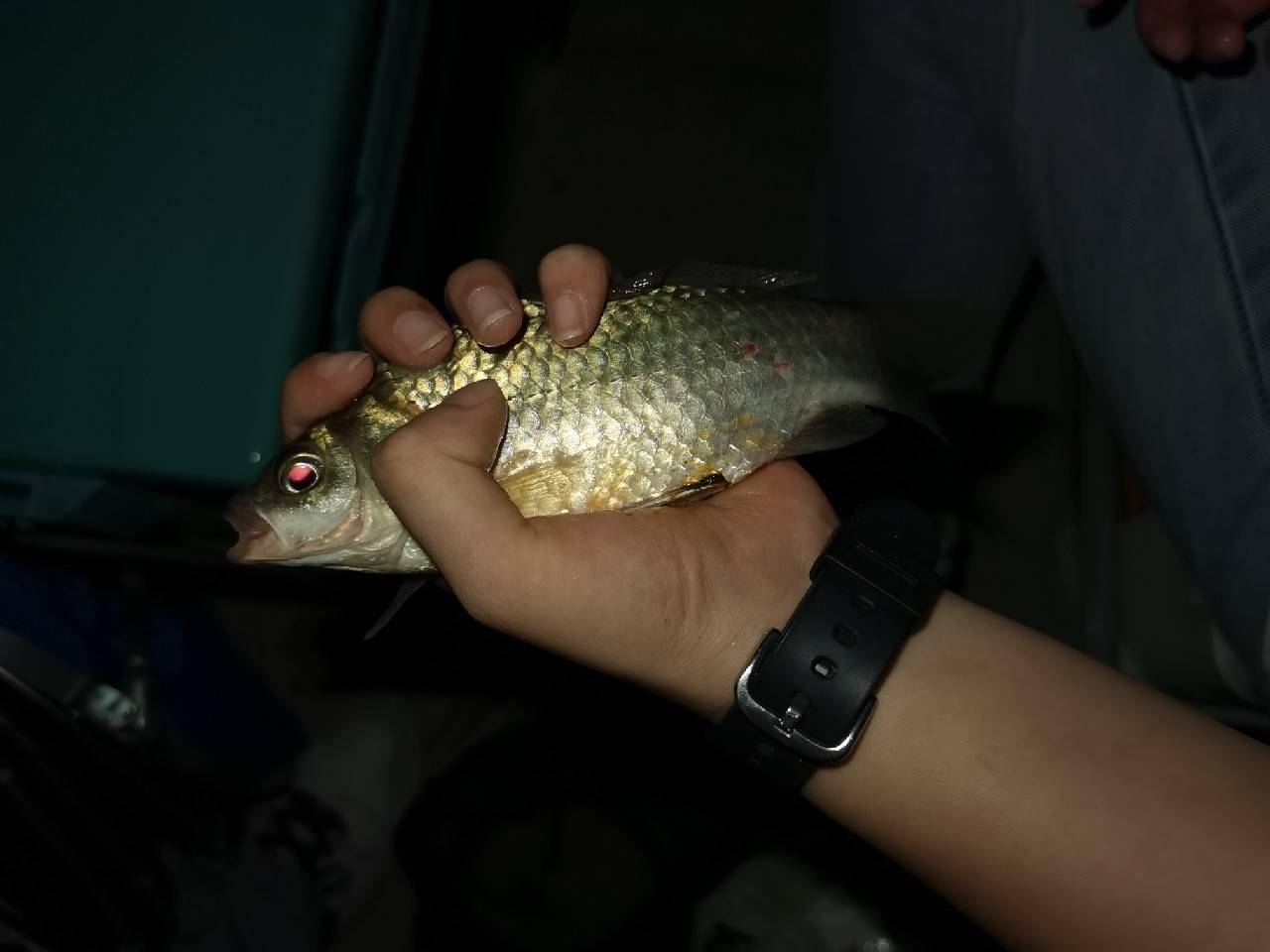 綁魚竿線的方法視頻_魚線和魚竿的綁法圖_綁魚竿方法