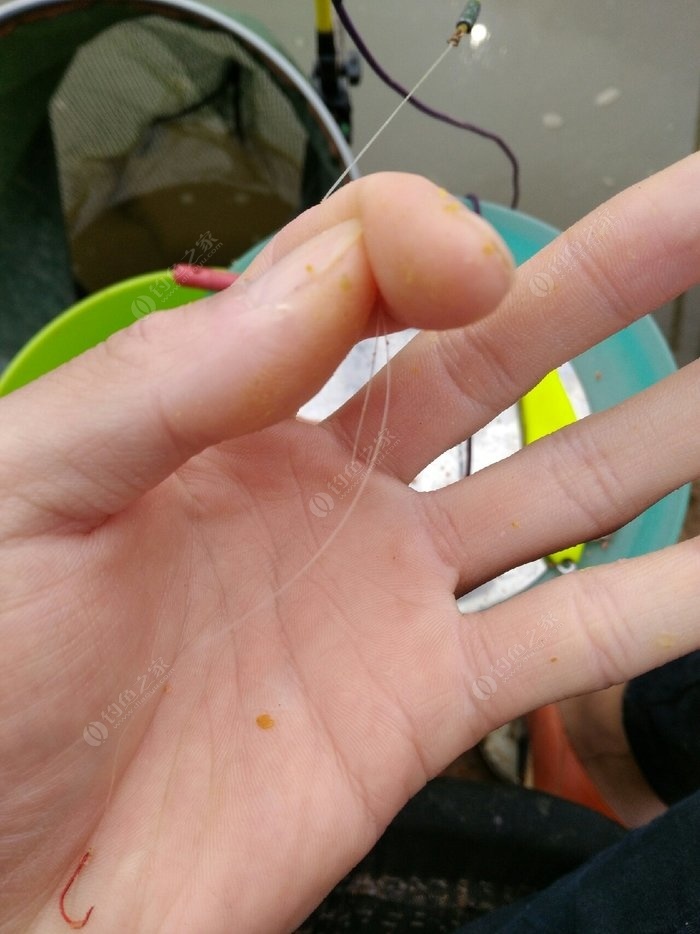 釣魚水庫餌料配方_水庫餌料配方_水庫釣魚餌料