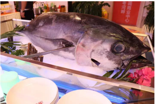 北京碧海釣具有限公司官網_碧海釣魚展_北京碧海釣具展位圖