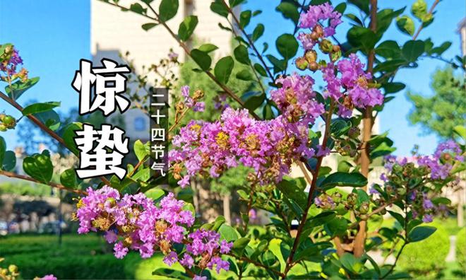 沈陽一周天氣_沈陽周一天氣_周三沈陽天氣