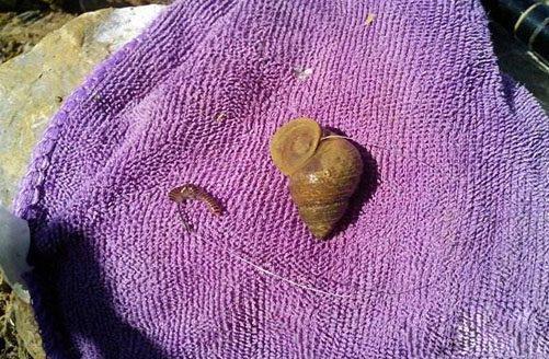 魚竿光威和創威哪個好_魚竿光威好還是漢鼎好_光威魚竿