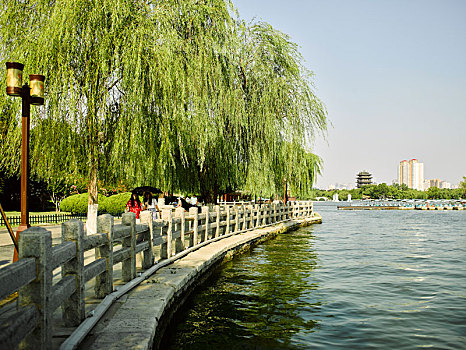 濟南免費湖庫大全_濟南免費旅游景點大全_京東濟南11號庫