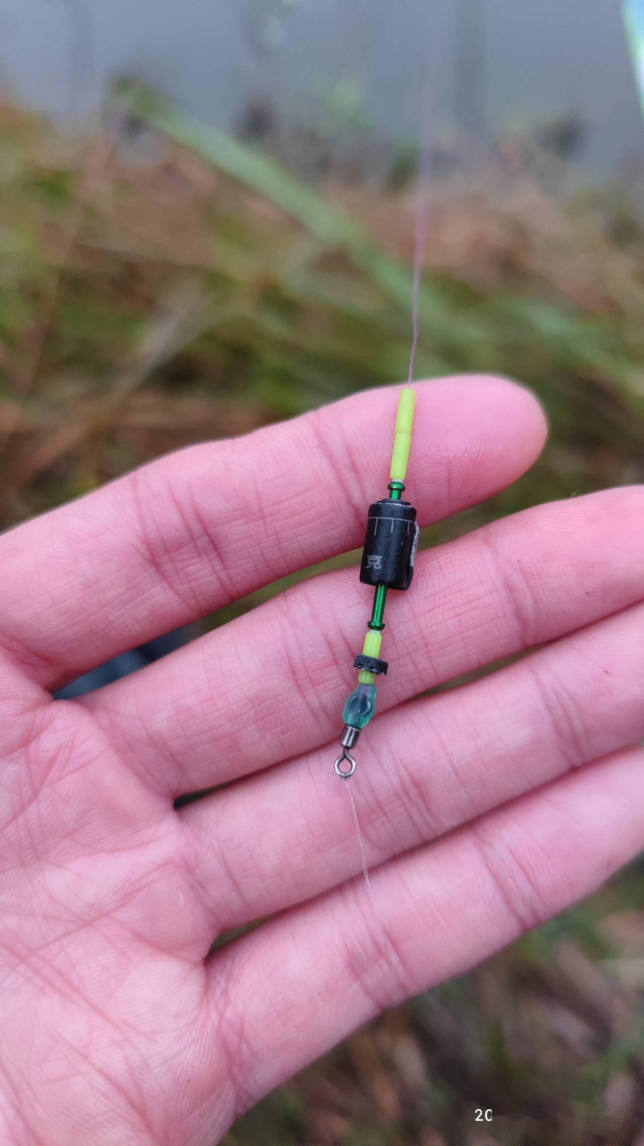 上海釣魚網_上海釣魚網-上海釣魚論壇_上海釣魚網app