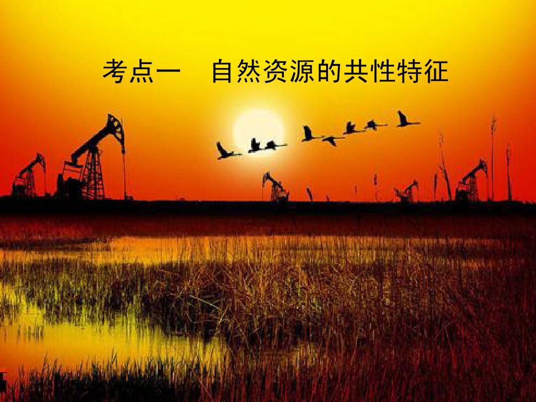 四海釣魚直播_四海釣魚頻道哪個直播軟件有_四海釣魚頻道直播在線直播釣