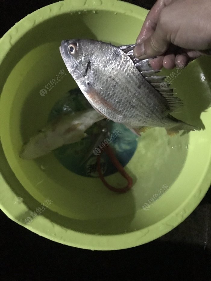 海南釣魚網_海南海釣論壇app_海南海釣俱樂部