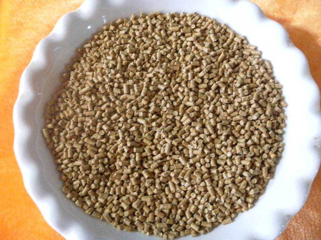 釣魚漂相視頻_手桿釣魚看漂技巧視頻_釣魚魚漂視頻