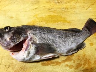 臟魚黑魚世界上是什么魚_黑魚最臟的魚_黑魚是世界上最臟的魚