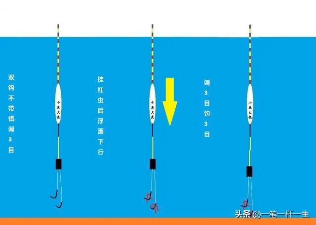 野釣鯉魚調幾釣幾_釣鯉魚調野釣竿怎么調_野釣鯉魚調漂最佳方法視頻教程