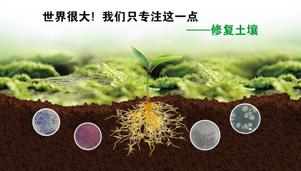 碳素魚竿斷裂圖片_碳素魚竿斷了怎么修復_碳素魚竿斷口整齊