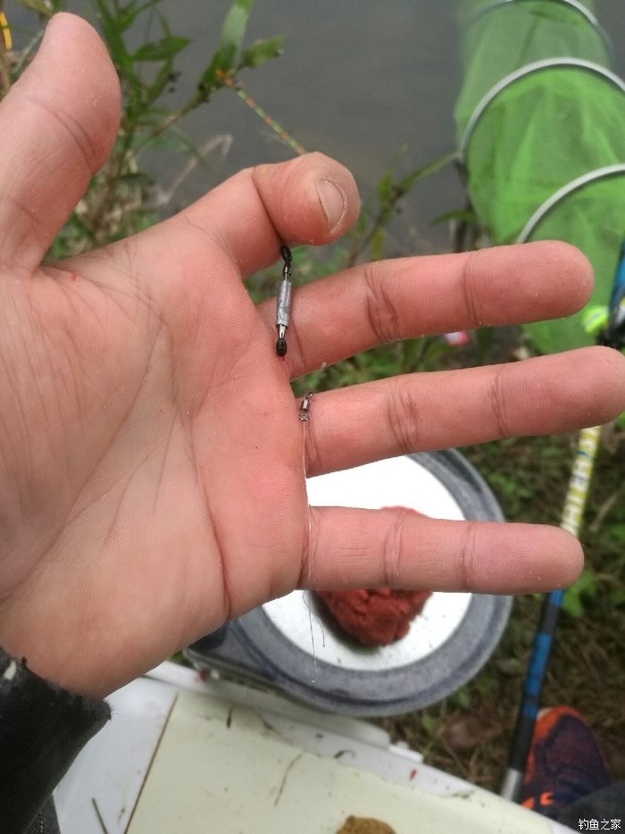 紅蟲怎么掛鉤圖解_小鉤掛紅蟲的竅門_紅蟲掛鉤器視頻教程