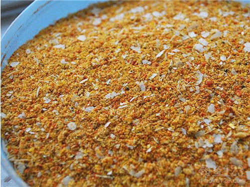 海釣鱸魚魚餌_釣海鱸魚用什么_海釣鱸魚用什么餌料釣