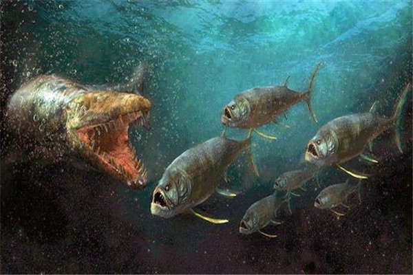 柳州食人魚事件真相_柳州食人魚事件_柳州食人魚咬人