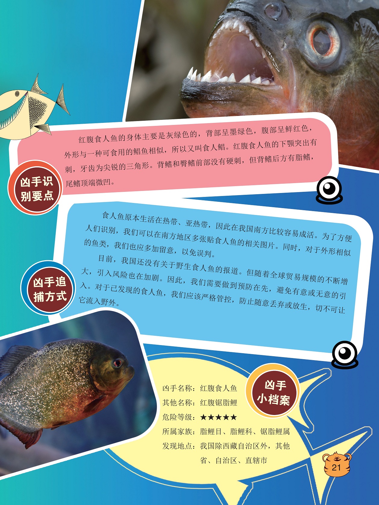 柳州食人魚事件_柳州食人魚事件真相_柳州食人魚咬人