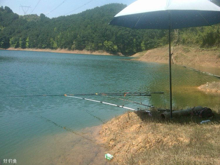 釣魚天氣預報帶氣壓的天氣預報_天氣氣壓預報釣魚_天氣預報釣魚氣壓是多少