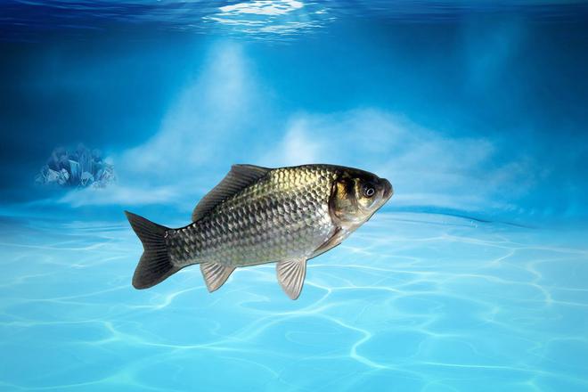 釣魚天氣預報帶氣壓的天氣預報_天氣氣壓預報釣魚_天氣預報釣魚氣壓是多少