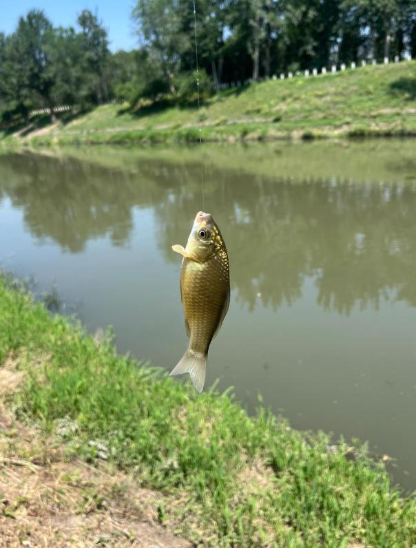 釣魚雨后怎么釣_雨后釣魚技巧_釣魚雨后技巧視頻教程