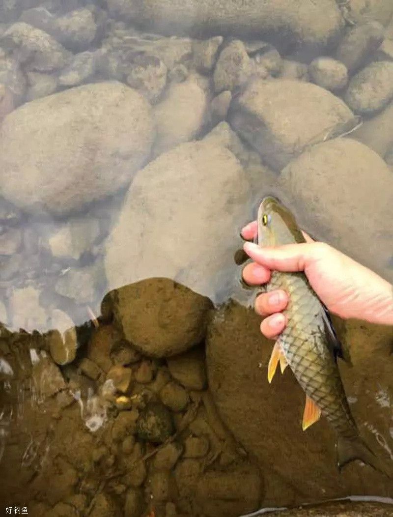 路亞釣魚視頻野釣實戰_路亞釣魚視頻釣魚視頻_路亞釣魚視頻高清