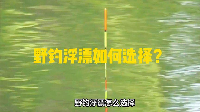 夏季水庫釣魚調漂技巧_釣魚水庫夏季技巧調漂方法_水庫夏天釣魚技巧大全
