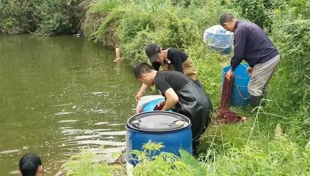 海釣釣組的最佳組合方式_釣海魚釣組_海釣的釣組