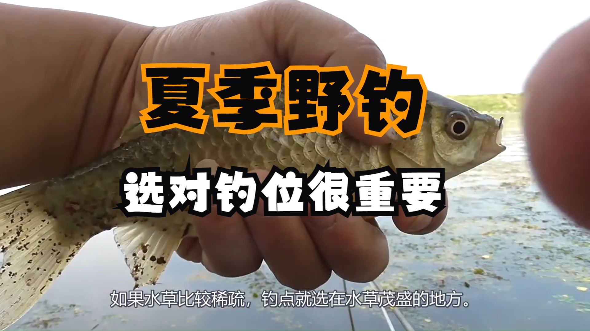 釣魚技巧大全冬天_冬季釣魚怎樣選擇水位_冬天自然水域釣魚技巧