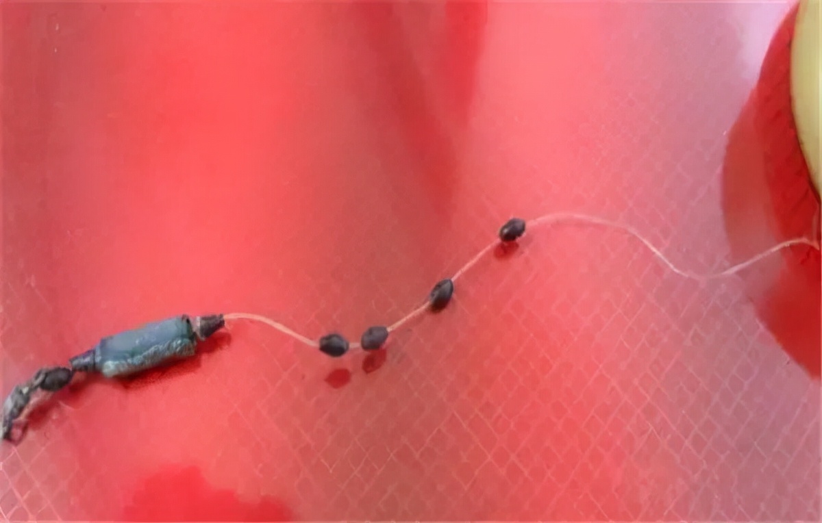 魚線裝卷線器_綁魚線神器_怎么把魚線綁到卷線器上---漁輪纏線配圖