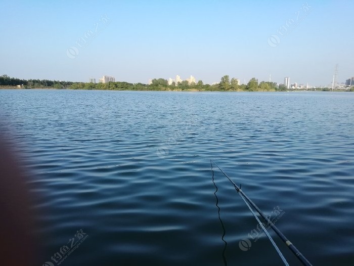 金銀湖釣魚售票點_金銀湖可以路亞嗎_金銀湖現在讓不讓釣?