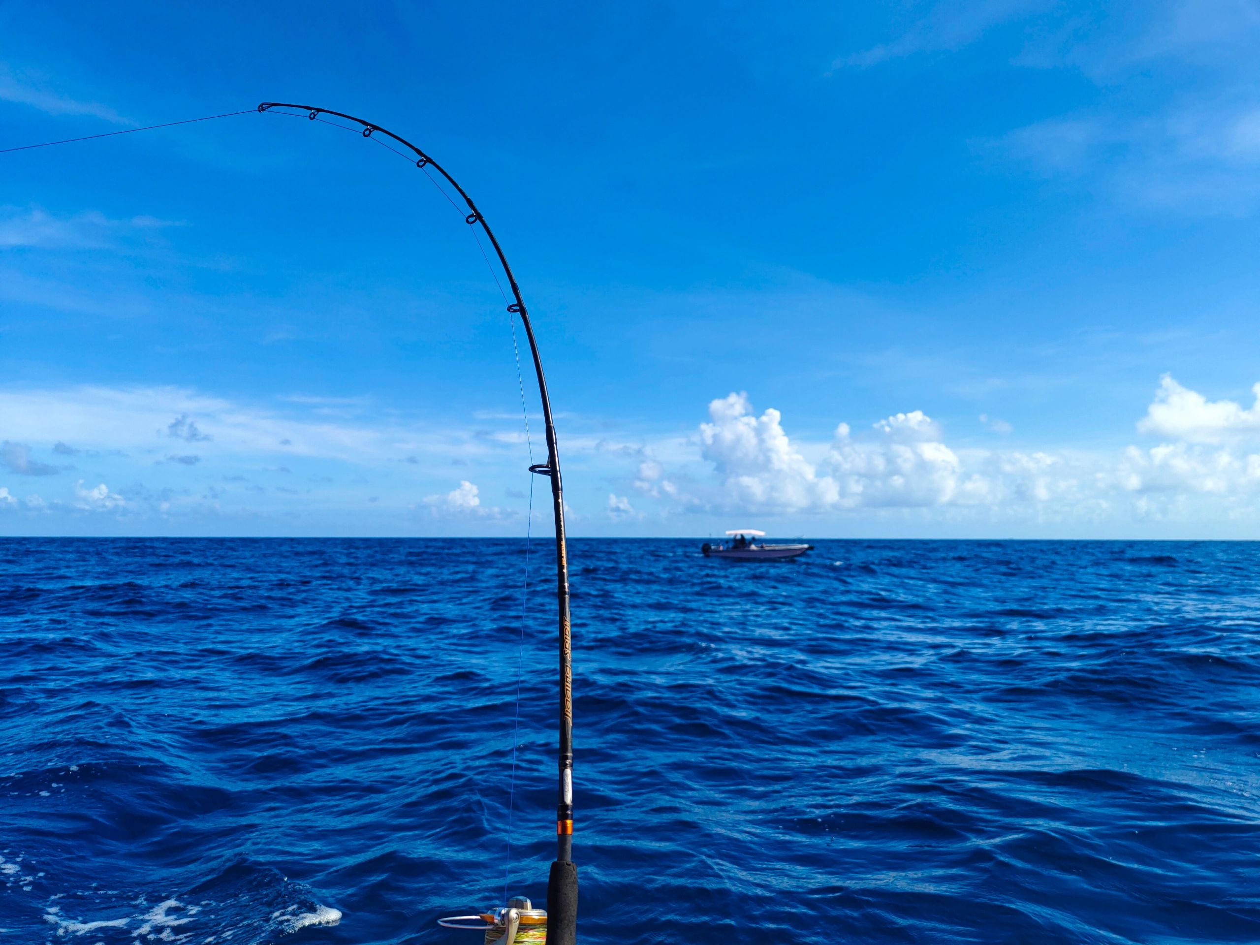 海釣論壇哪些比較好_海釣論壇_海釣交流