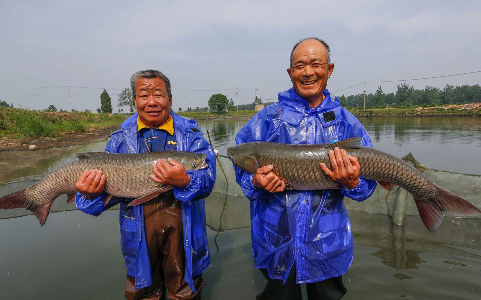 水庫釣青魚必須掌握的六個技巧（上）_釣水庫技巧掌握青魚上鉤方法_水庫釣青魚怎么釣