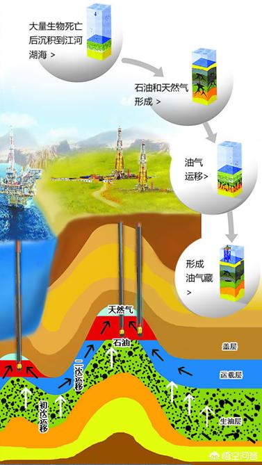 安縣魚塘感染_新聞魚塘感染_因安縣魚塘感染