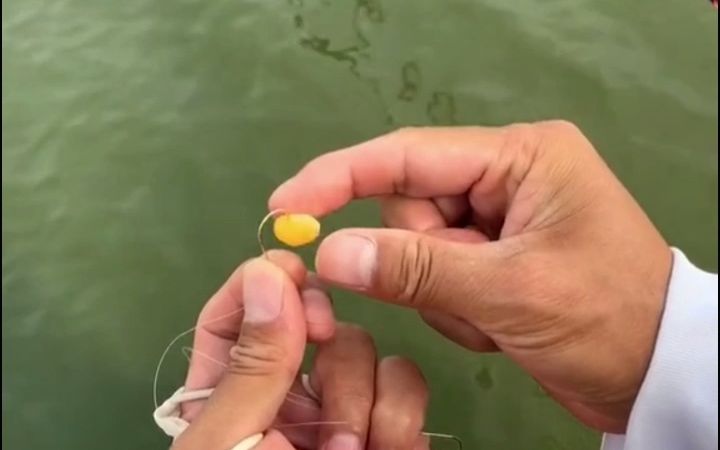 釣海鱸魚用什么鉤子_海釣鱸魚用什么鉤_鉤鱸魚海釣用什么餌料