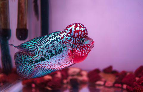 釣魚的時候想什么_釣魚去釣魚_想釣魚跟我走