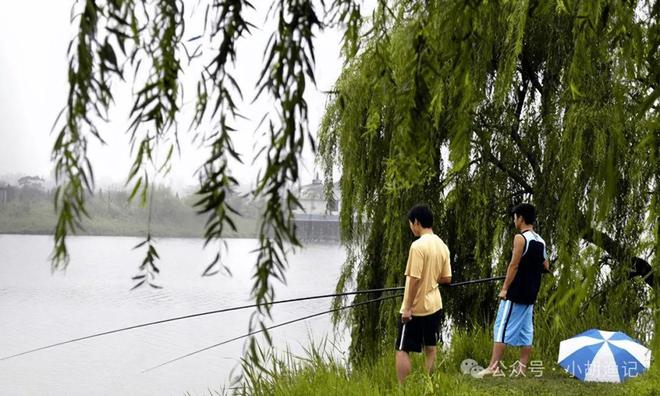 看漂釣魚游戲_有一款看漂釣魚的游戲叫什么_釣魚看漂游戲等級怎么算