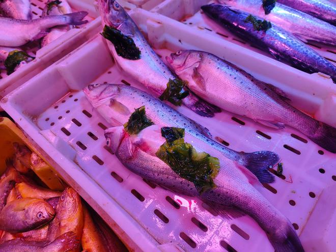 黃魚做法_黃魚多少錢一斤_寧波黃魚面