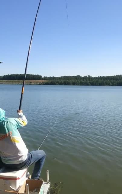 電腦桌面釣魚游戲_電腦版釣魚游戲哪個最好_釣魚看漂游戲電腦版下載
